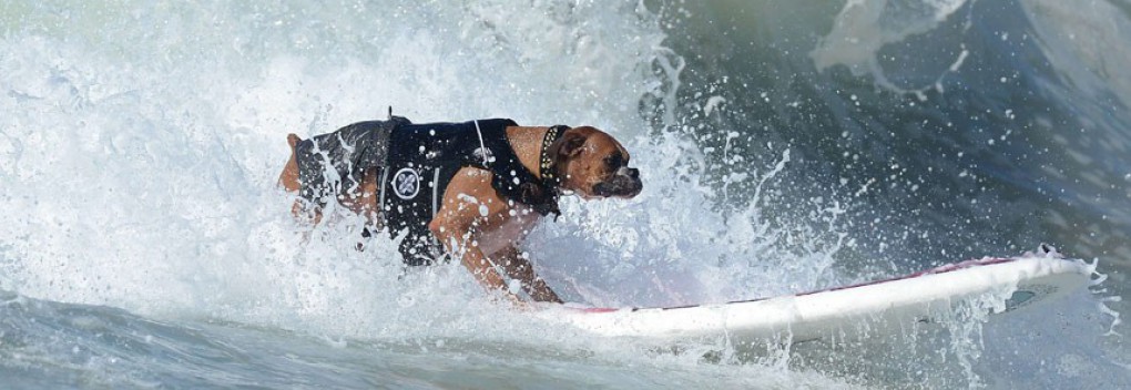Yoga ist eine optimale Ergänzung zum&nbsp;Surfen.