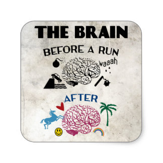 laufer_gehirn_quadrat_aufkleber-rbfd7faf9a9534033b2f0f36b2d31458a_v9wf3_8byvr_324