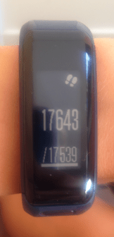 GarminActivityTracker_Steps