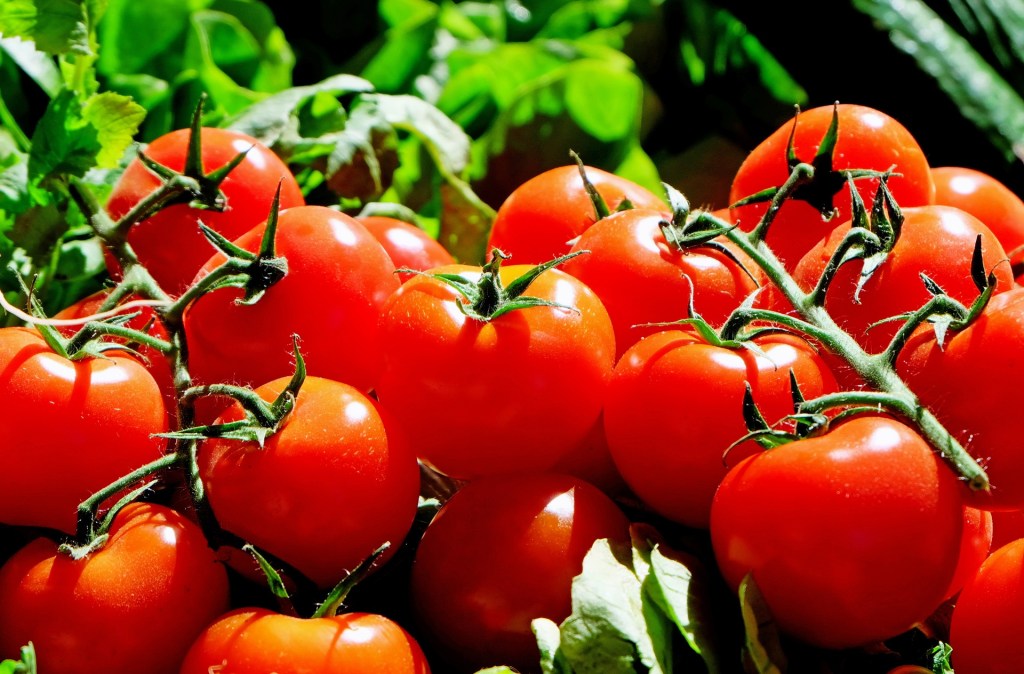 Must have der Saison: Die&nbsp;Tomate