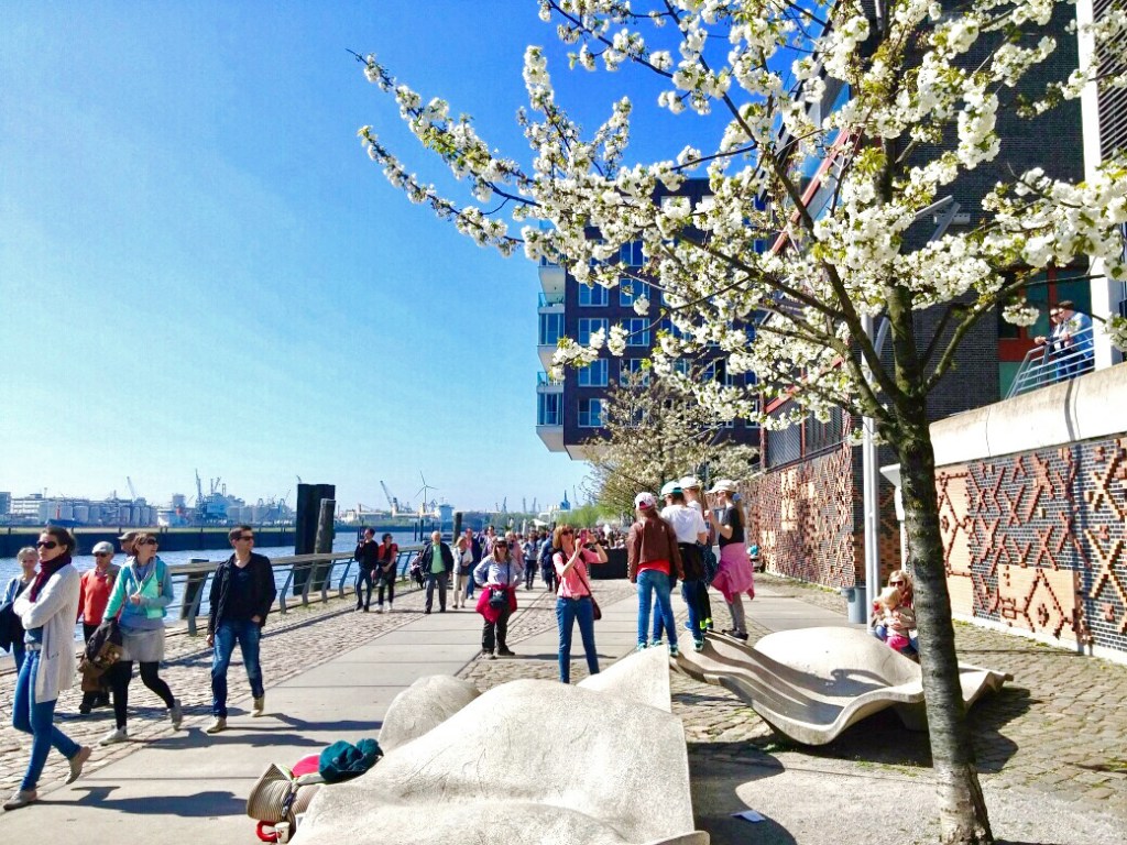 Frühling am Dalmannkai in&nbsp;Hamburg