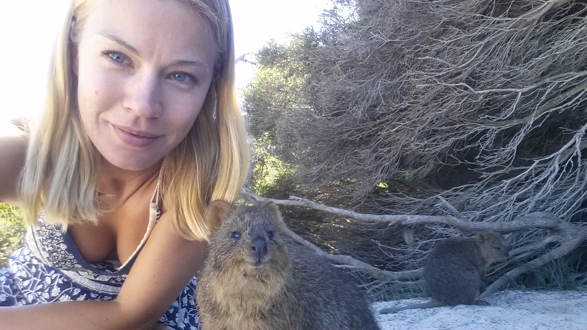 QuokkaSelfie