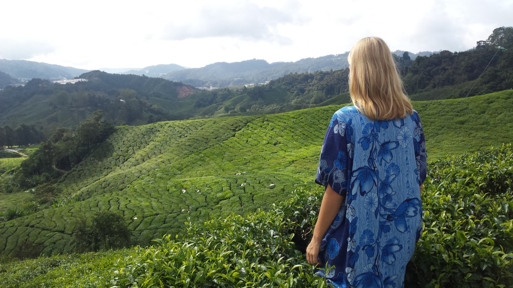 Cameron Highlands: Willkommen im malaysischen Hochland! | by Antje&nbsp;Waldschmidt
