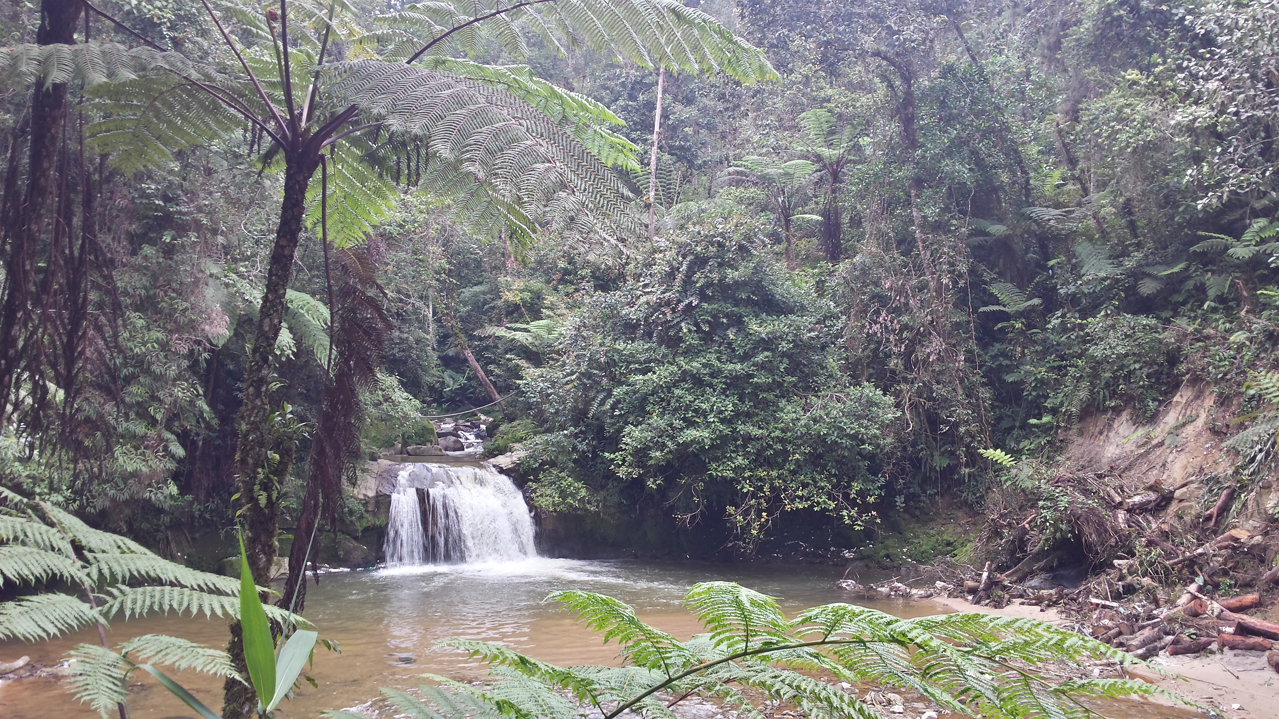 WasserfallJungleTrek