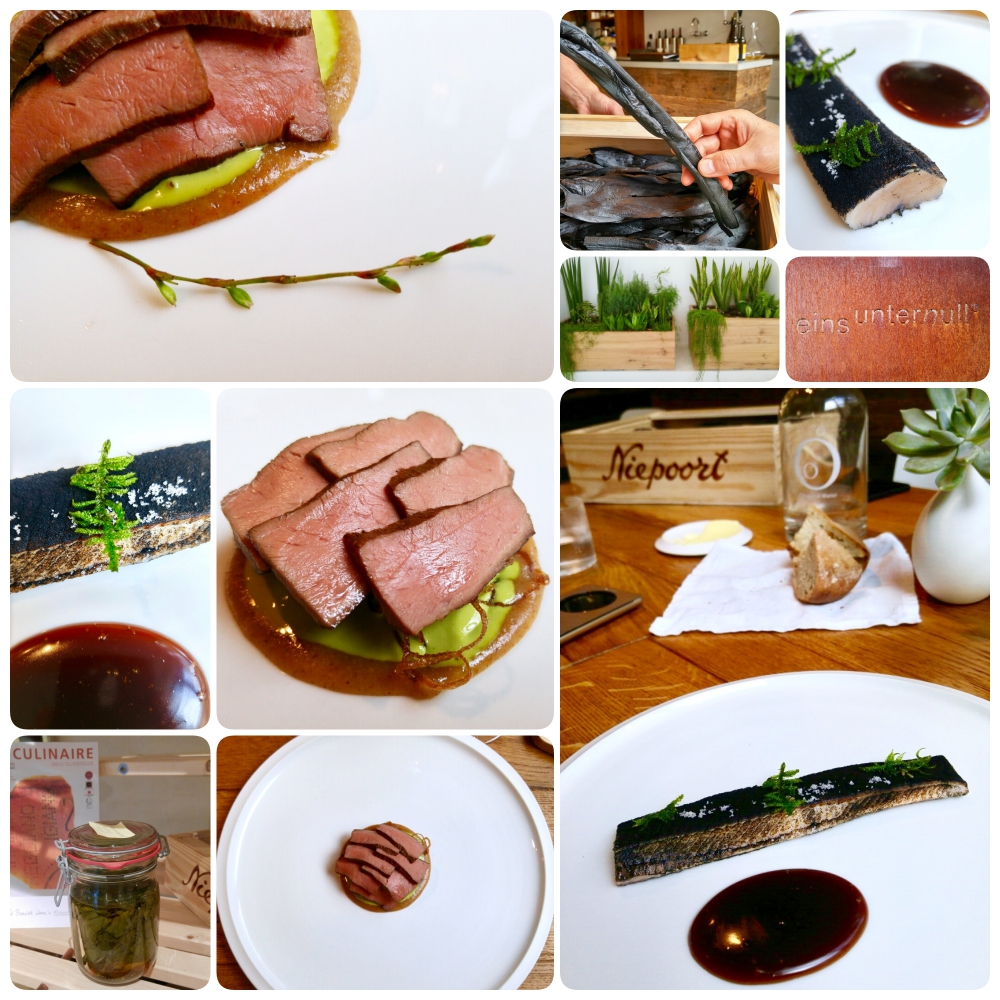 collage5-2-Alternative