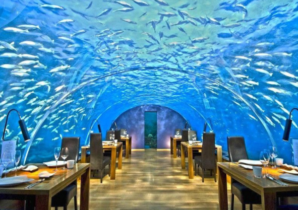 Ithaa: Das schönste Restaurant der&nbsp;Welt