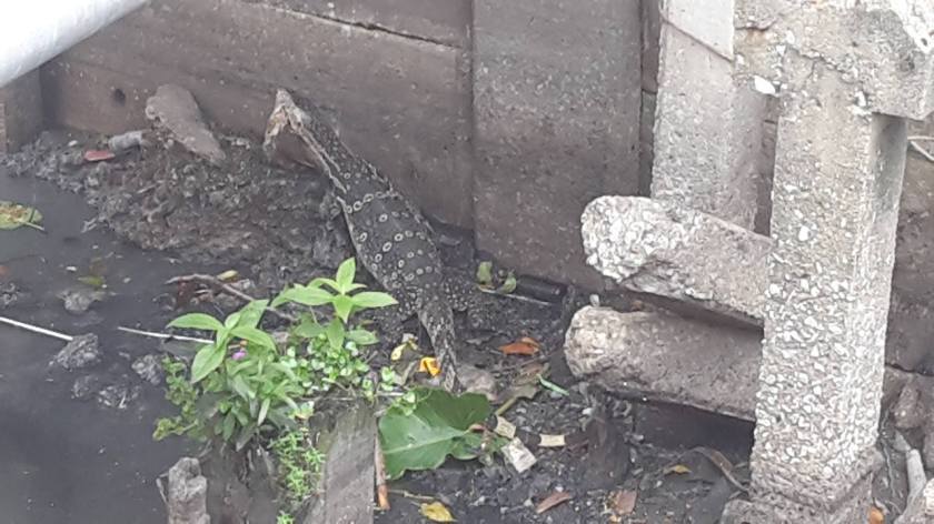 14206180_1672844456376045_7525984062517980480_o