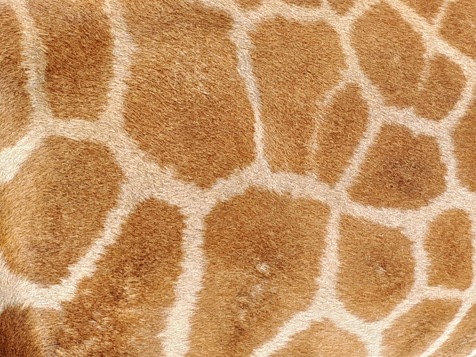 20180513_135924_preview