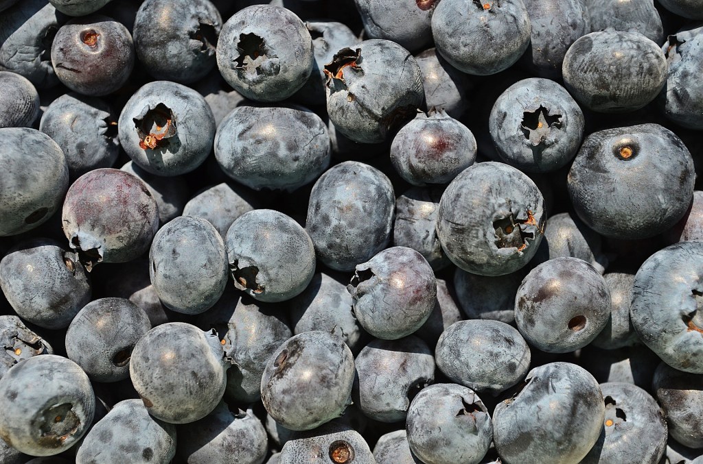 Raw Blueberry Cheesecake > ohne Zucker – ohne&nbsp;Ofen!