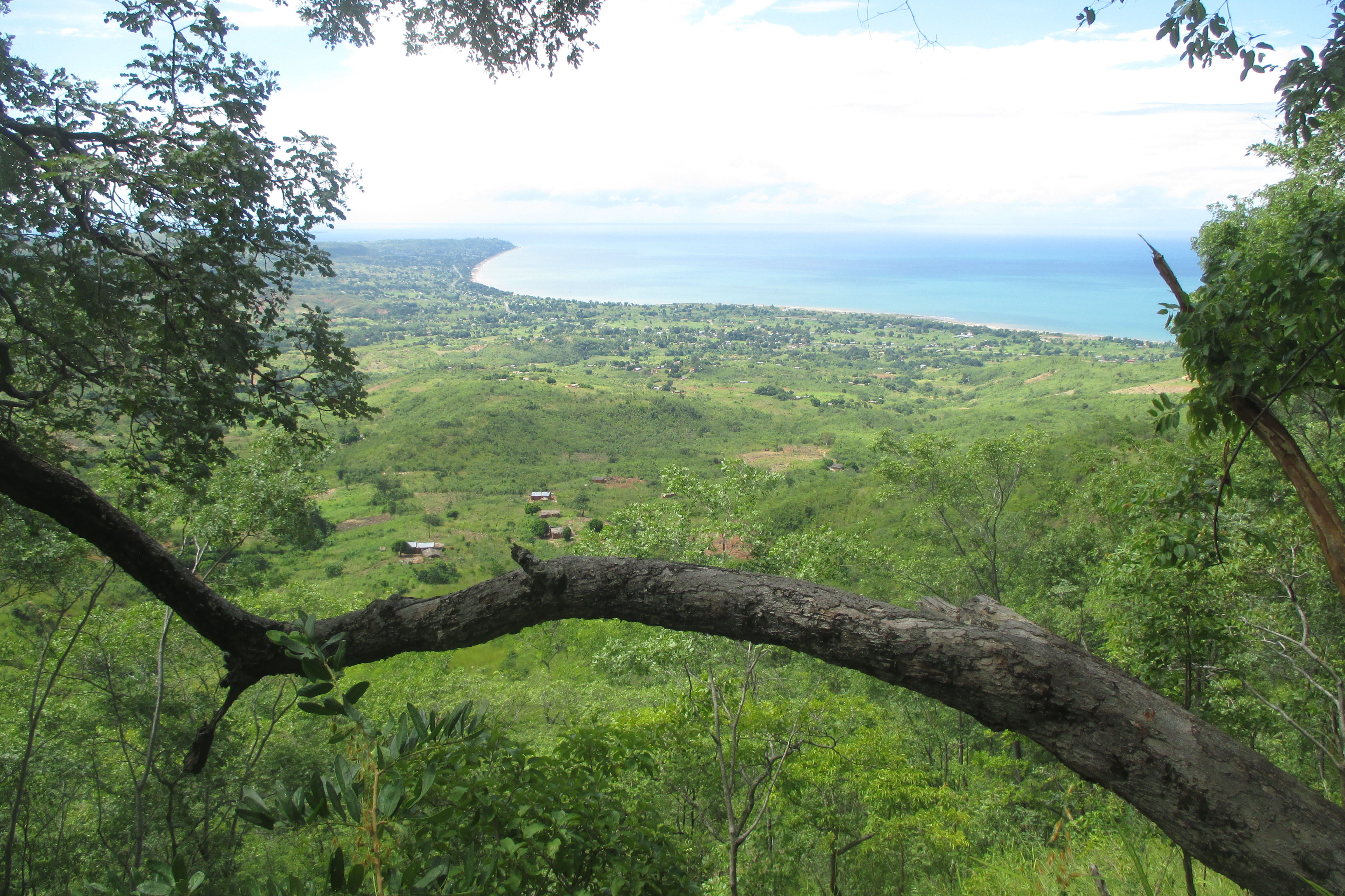 Seeblick von der Mushroom Farm