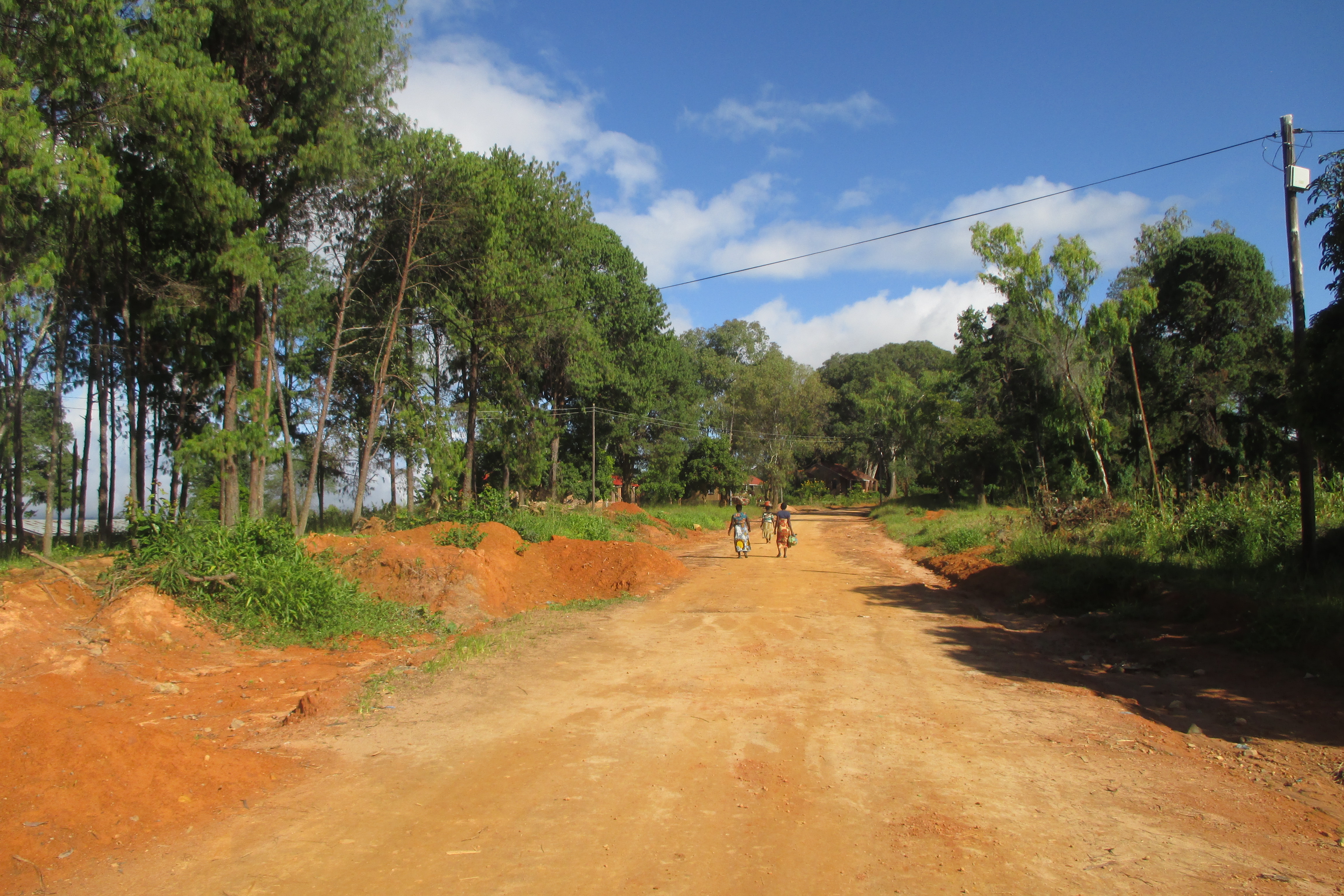 Frauen auf der Allee in Livingstonia