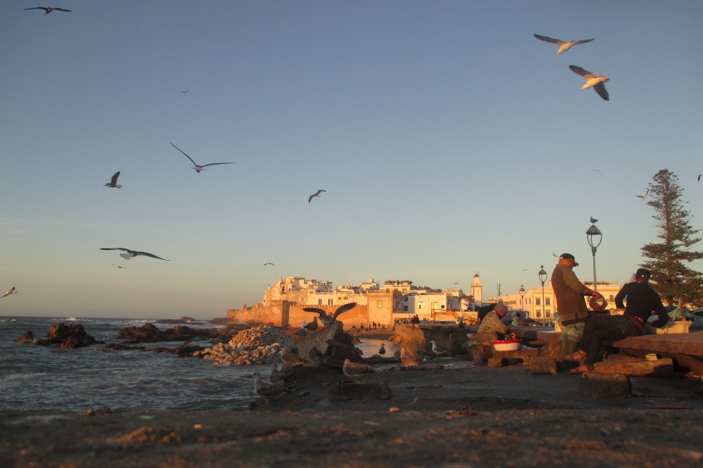 Essaouira: Rohdiamant an Marokkos Atlantikküste | BY ANTJE&nbsp;WALDSCHMIDT