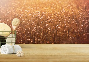 background-image-3254353_960_720