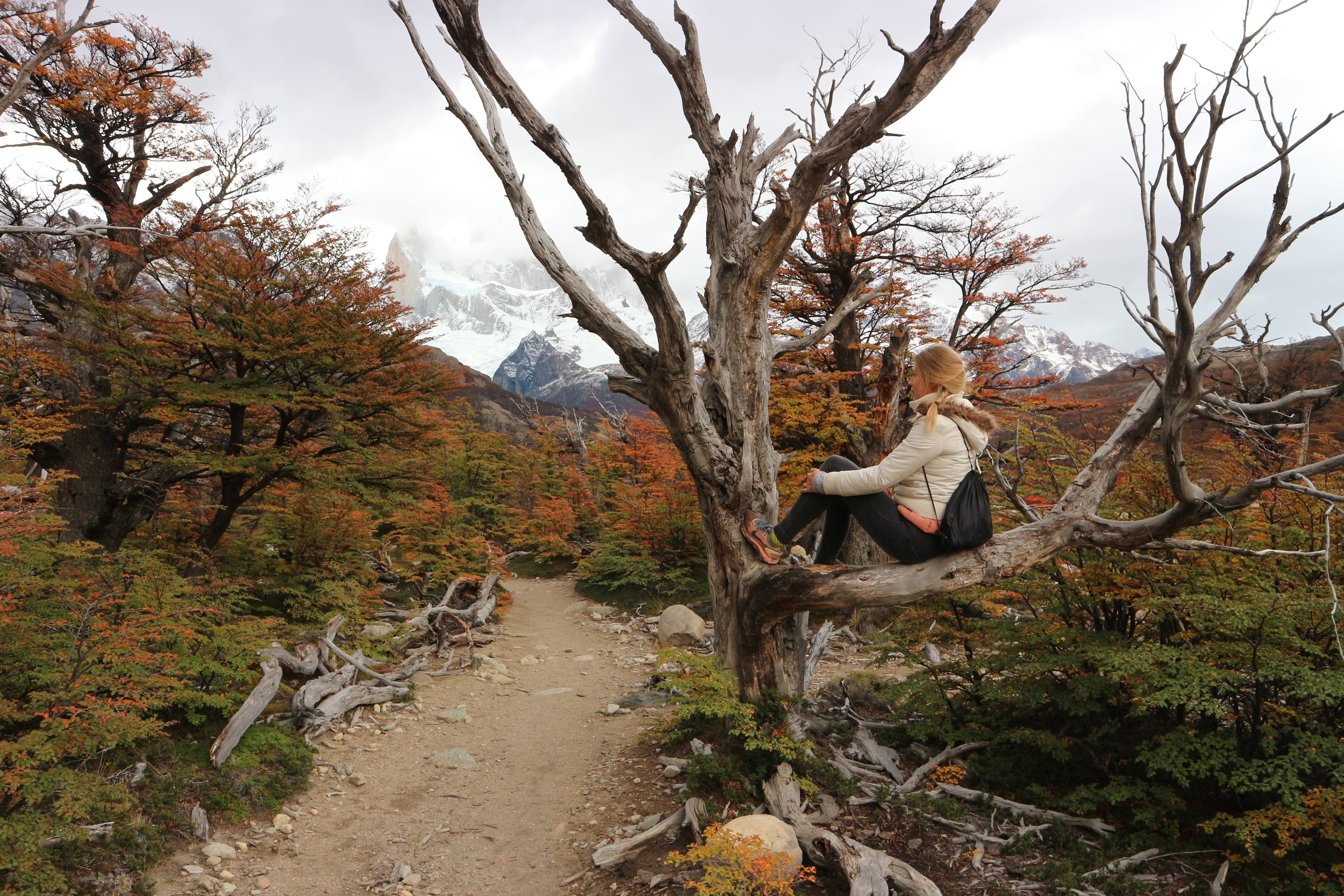 Die Farben des Herbstes