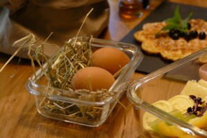 Boutique Apartment Sonnenhang - mOsi-unterwegs.de