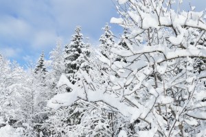 mOsi-unterwegs - Geniesserhotel Hohenfels