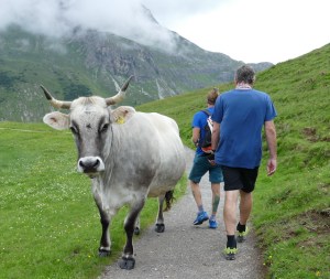 Hotel Gotthard - mOsiunterwegs