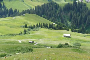 Hotel Gotthard - mOsiunterwegs