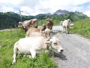 Hotel Gotthard - mOsiunterwegs