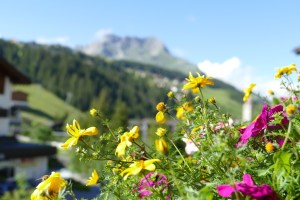 Hotel Gotthard - mOsiunterwegs