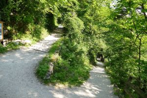 mOsi-unterwegs in Hallstatt