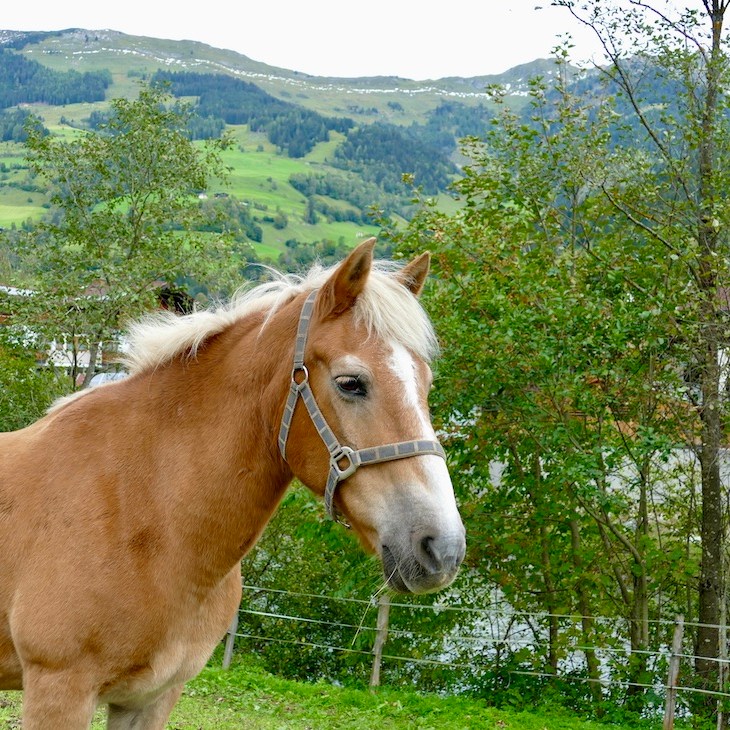smartHOTEL Dorfgastein - mOsi-unterwegs
