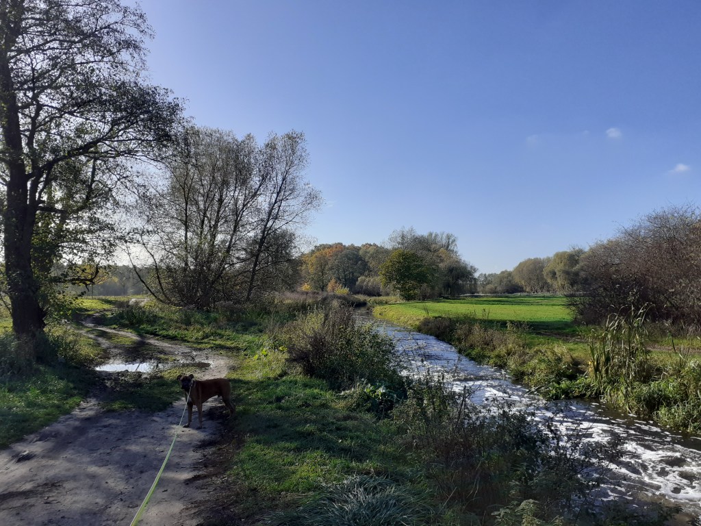 WANDERUNG „RUND UM BERLIN“: ETAPPE 1 SÜDOST | BY ANTJE&nbsp;WALDSCHMIDT