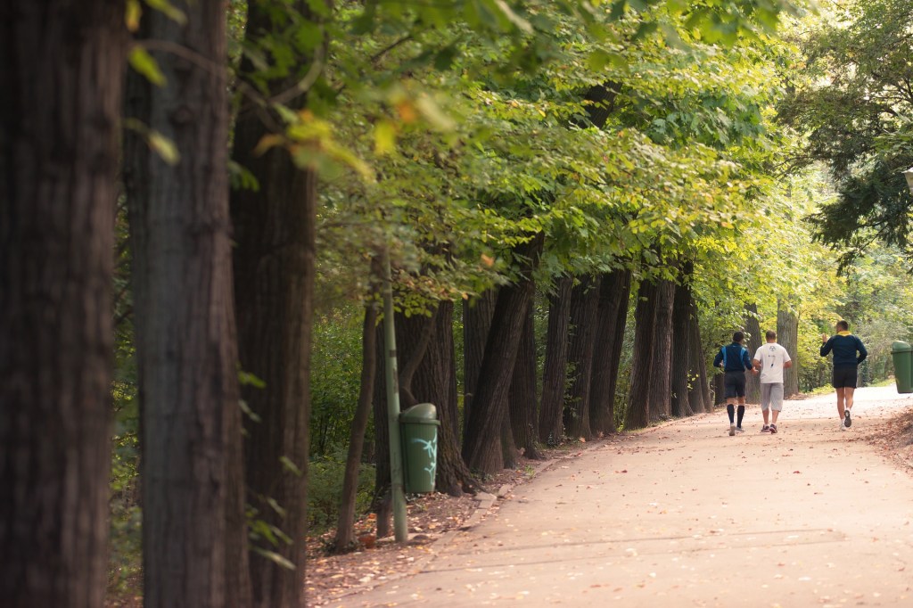 Lieblingssport Joggen? 5 effektive Tipps – Laufen im Herbst&nbsp;♥