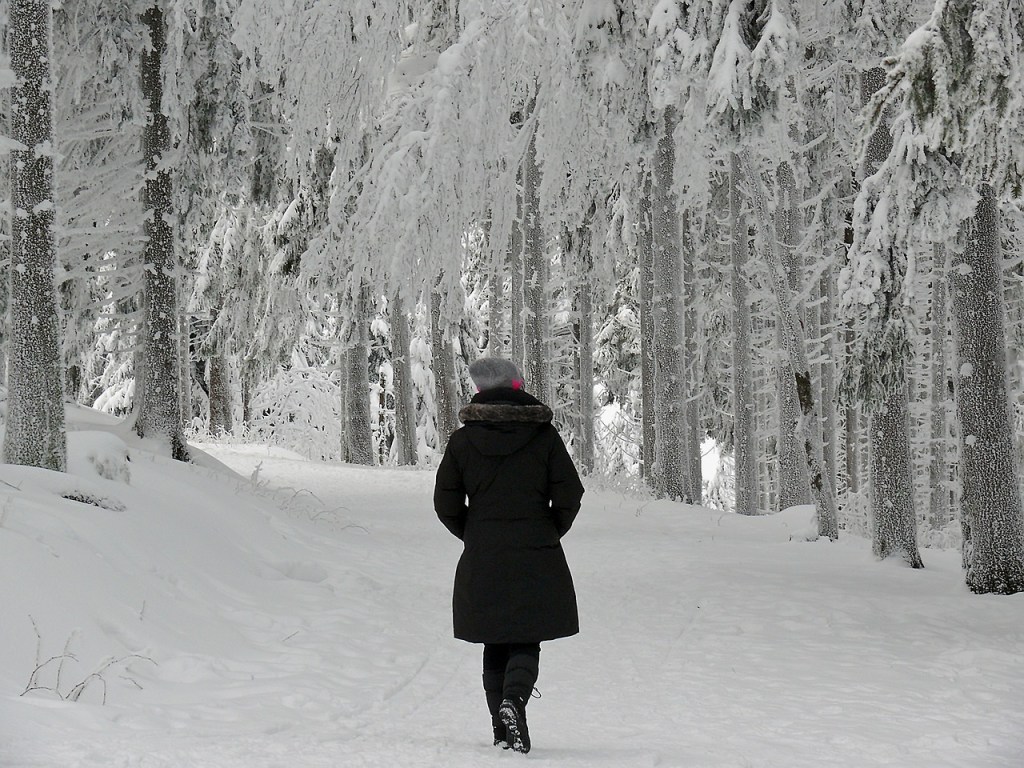 Wochenendtipp → ab in den Wald: Warum ein ausgedehnter Winterspaziergang wichtig&nbsp;ist