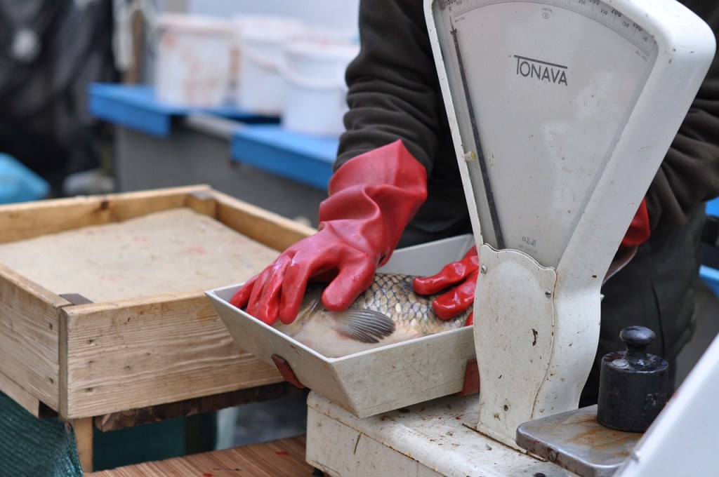 Warum am Heiligabend Karpfen? Tradition und&nbsp;Rezept