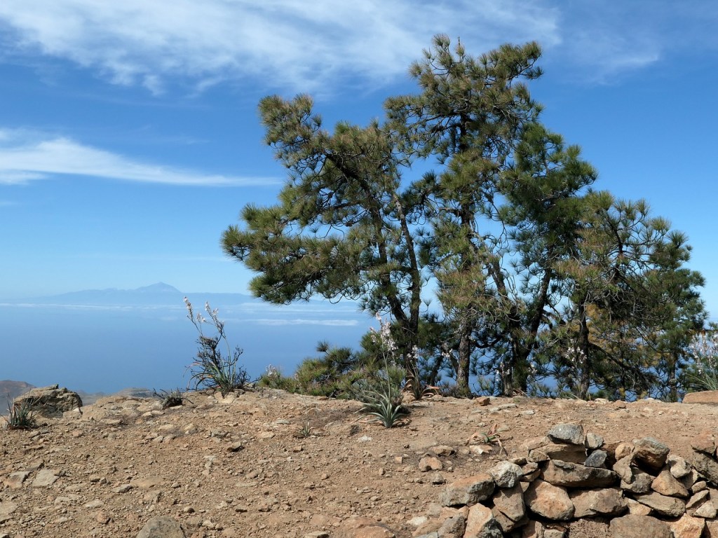 Von den Balearen zu den Kanaren – Ein Blick auf die Entstehung und Geschichte der Inseln&nbsp;♥