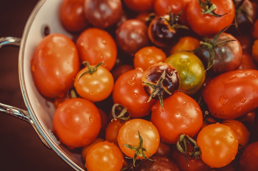 Tomate ist nicht gleich Tomate: Welche Sorte ist die&nbsp;Beste?