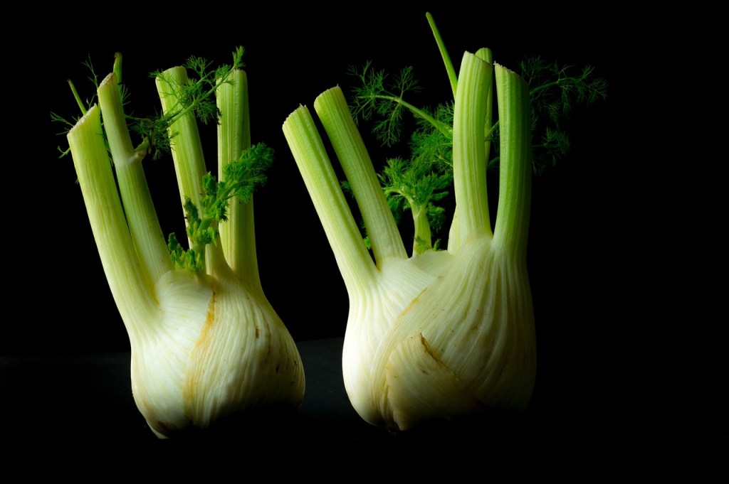 Superfood Fenchel: Warum Fenchel so gesund ist #lecker&nbsp;#vielseitig