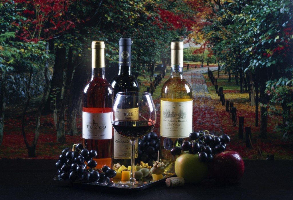 Salut, ça va? Kennt ihr das Weinbaugebiet Languedoc-Roussillon: Das Mekka für Weinliebhaber & Genießer! ♥&nbsp;#montpellier