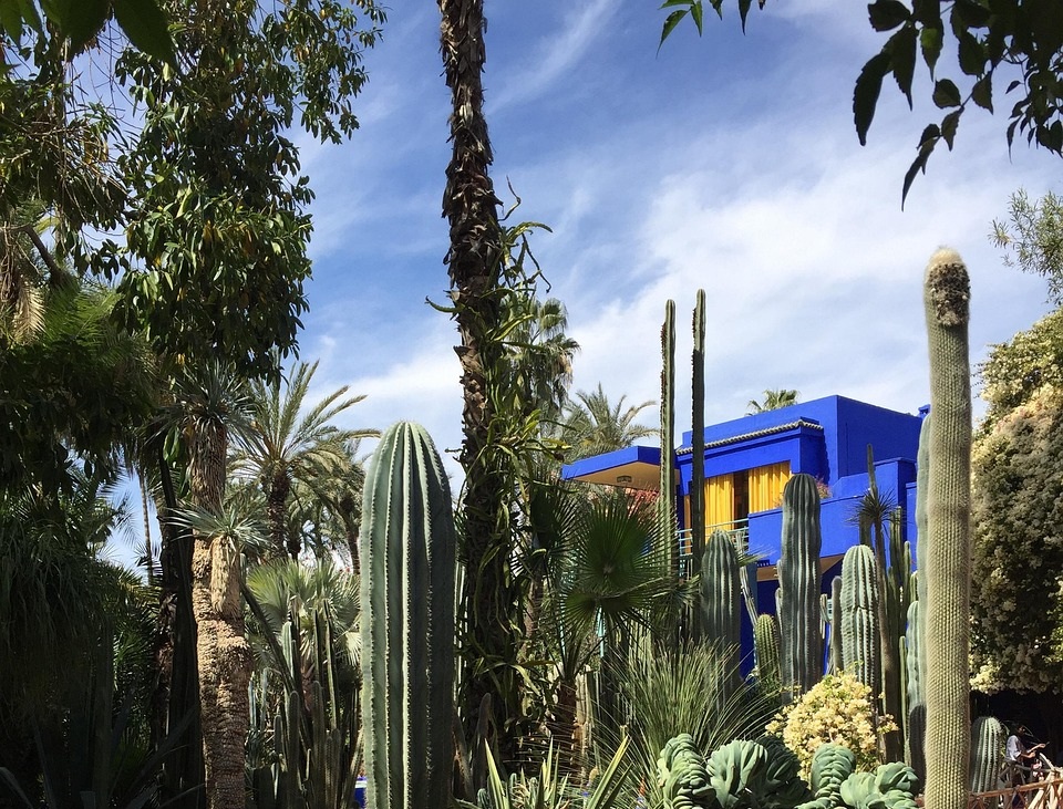 Warum der Jardin Majorelle bis heute eine Touristenattraktion ist ♥&nbsp;#ysl